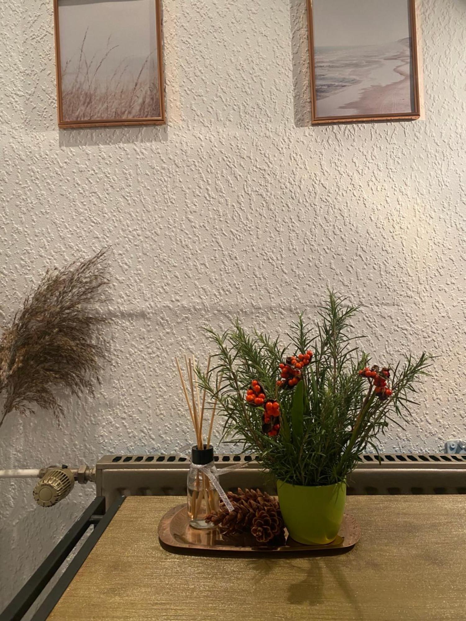 Alte Schmiede In Der Altstadt Von Sankt Goarshausen Extérieur photo